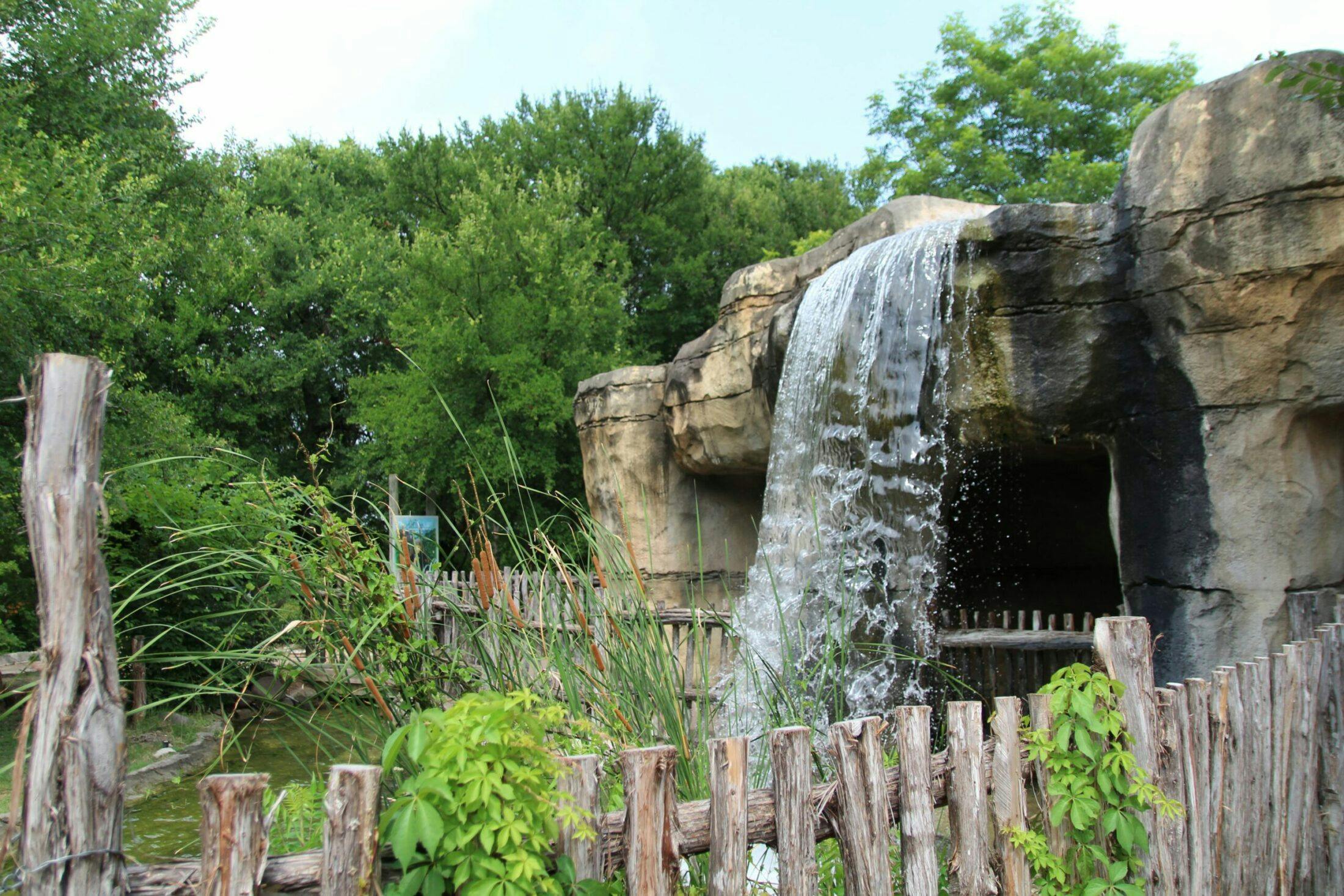 Cameron Park Zoo waterfall